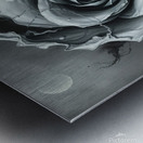 Surreal Monochrome Rose – Dark Abstract Fantasy Art Metal print