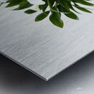 Charming White Orchid Arrangement in Sleek Vase Metal print