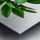 Vibrant Green Plant in Modern Black Pot Metal print