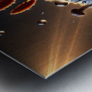 Black Lily with Dewdrops – A Stunning Dark Floral Macro Photography Metal print