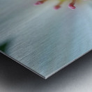 Macro Photography of a Delicate White Flower with Pink Stamens Metal print