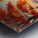 Tranquil Autumn Sunrise Over a Misty Lake Metal print