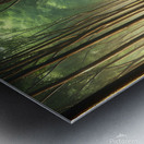 Enchanting Forest Pathway: A Serene Walk Through Nature Metal print