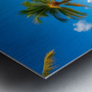 Tropical Paradise: White Sand Beach with Swaying Palm Trees and Yachts Metal print