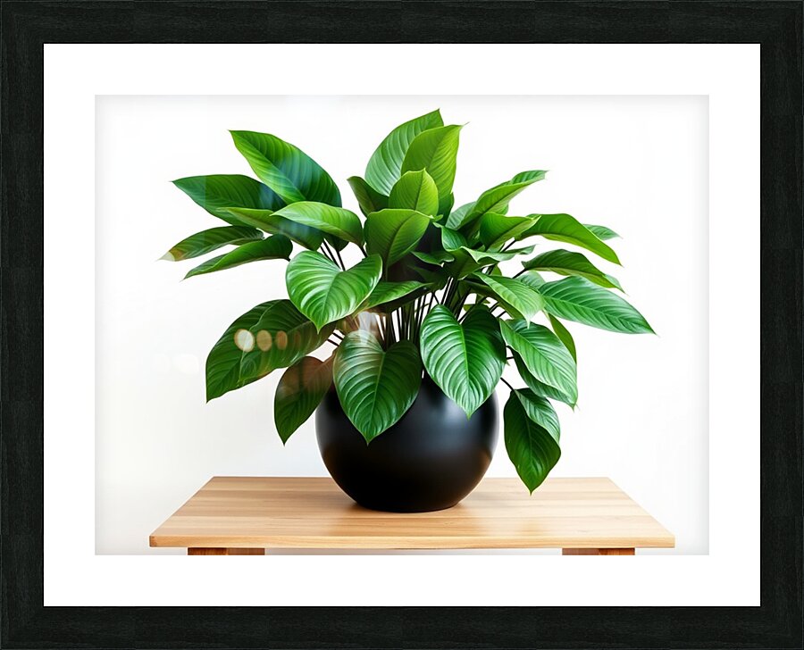 Vibrant Green Plant in Modern Black Pot Picture Frame print