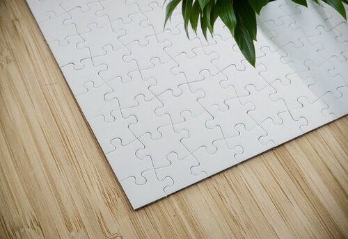 Charming White Orchid Arrangement in Sleek Vase Carole Bally puzzle