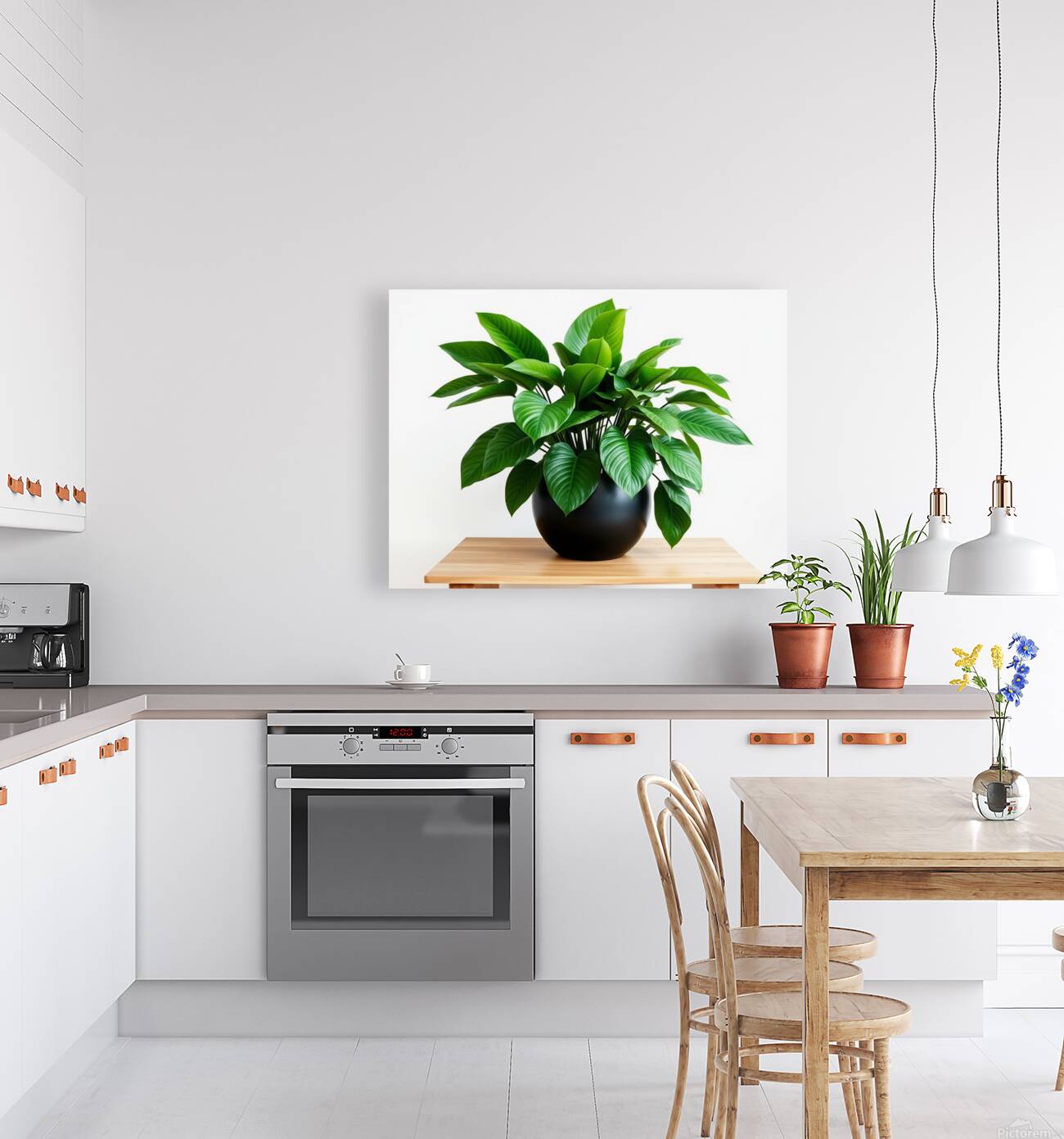 Vibrant Green Plant in Modern Black Pot Reproduction