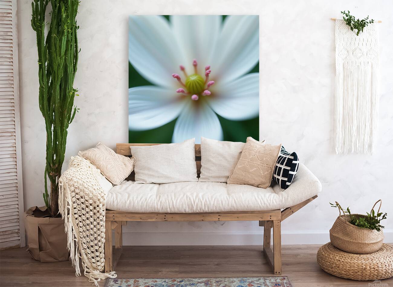 Macro Photography of a Delicate White Flower with Pink Stamens Reproduction