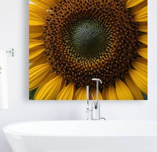 Stunning Macro of a Sunflower – Nature’s Perfect Symmetry by Carole Bally