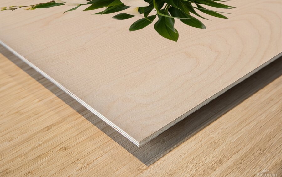 Charming White Orchid Arrangement in Sleek Vase Wood print