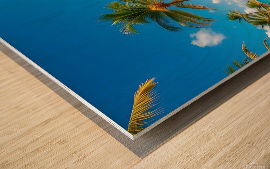 Tropical Paradise: White Sand Beach with Swaying Palm Trees and Yachts Wood print