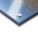 Shadows Acrylic print