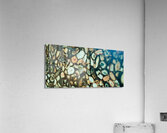 Shells Acrylic Print