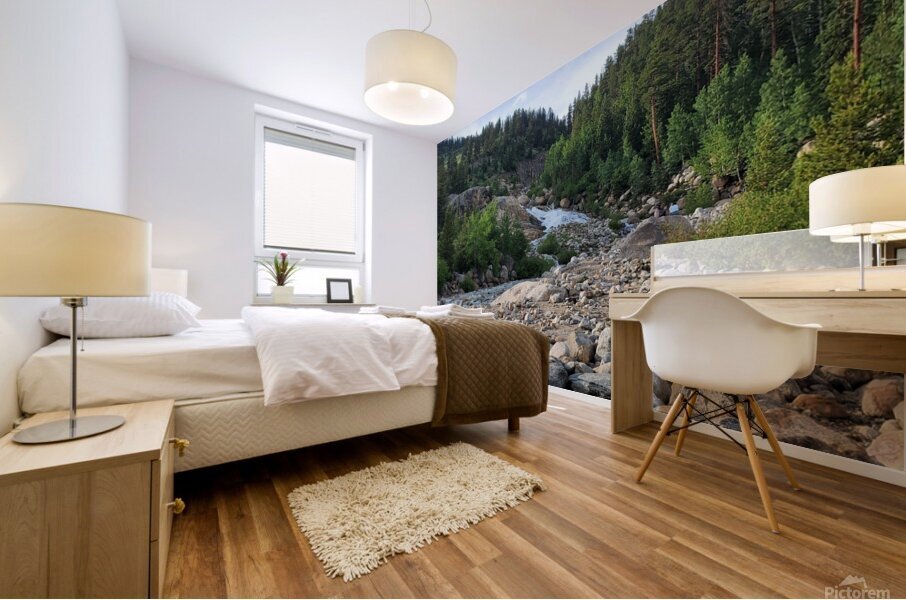 Rocky Stream Mural print