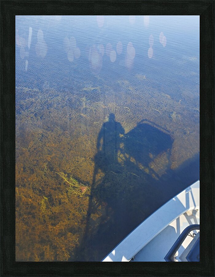 Shadows Picture Frame print