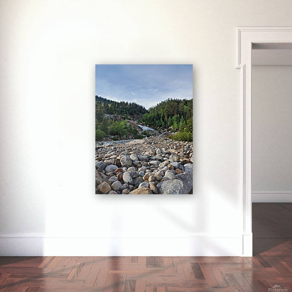 Rocky Stream Reproduction