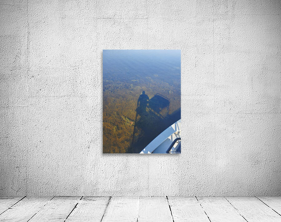 Shadows Wall Preview