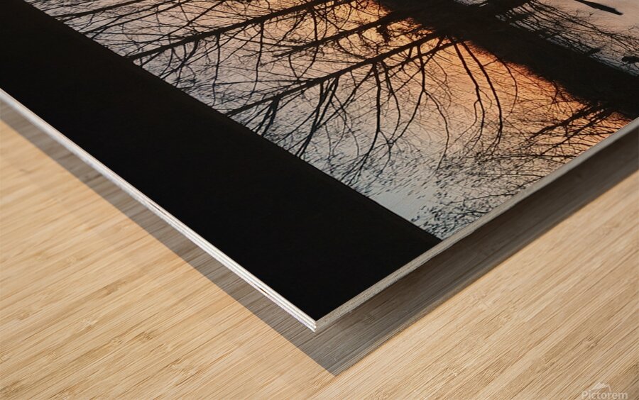 End Of Day Wood print