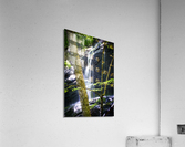 Bear Den Campground Waterfall VERTICAL Acrylic Print
