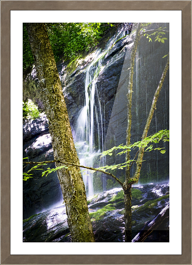 Bear Den Campground Waterfall VERTICAL Picture Frame print
