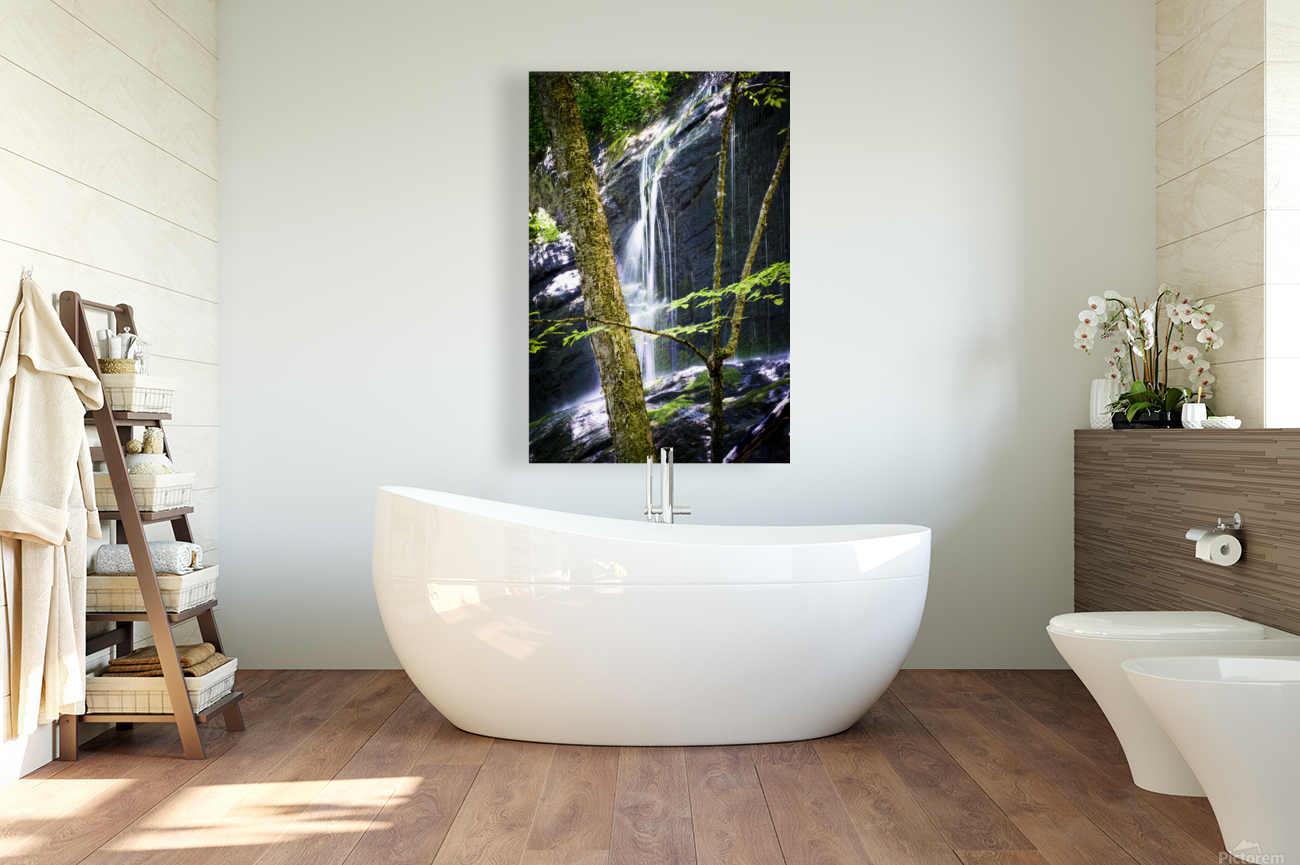 Bear Den Campground Waterfall VERTICAL Reproduction
