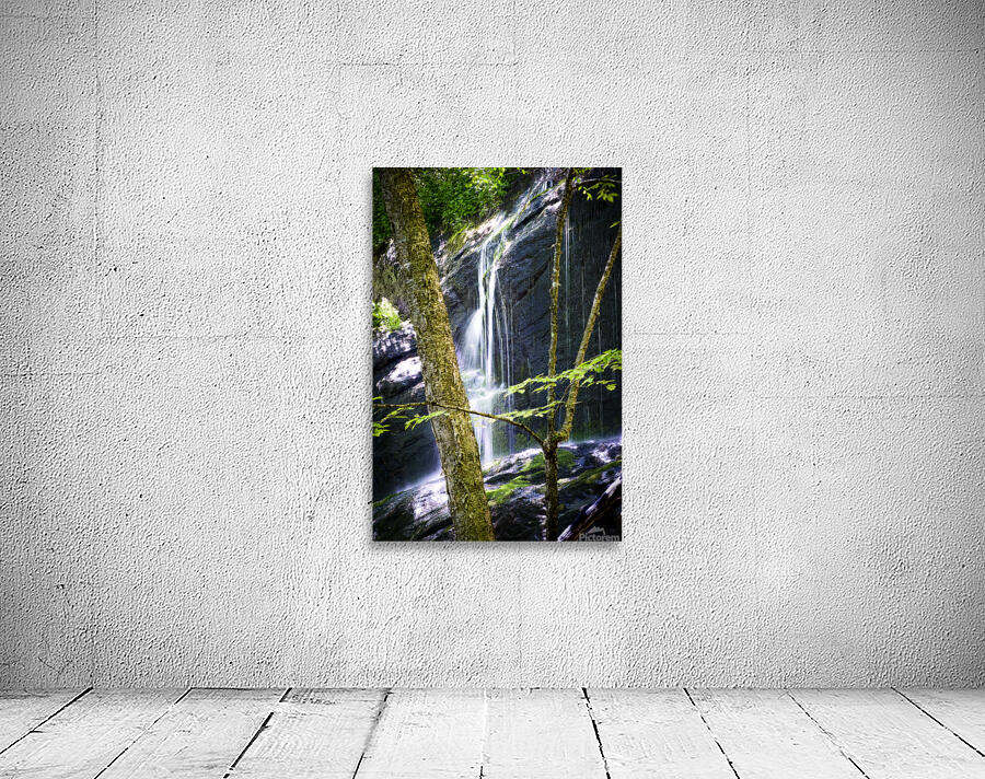 Bear Den Campground Waterfall VERTICAL Wall Preview