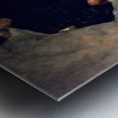 Hermits Metal print
