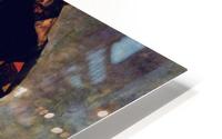 Hermits HD Metal print