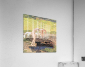 A vanity Acrylic Print