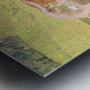 A vanity Metal print