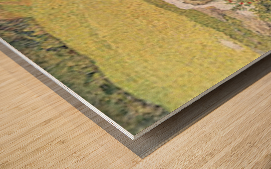 A vanity Wood print