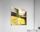 Path Acrylic Print