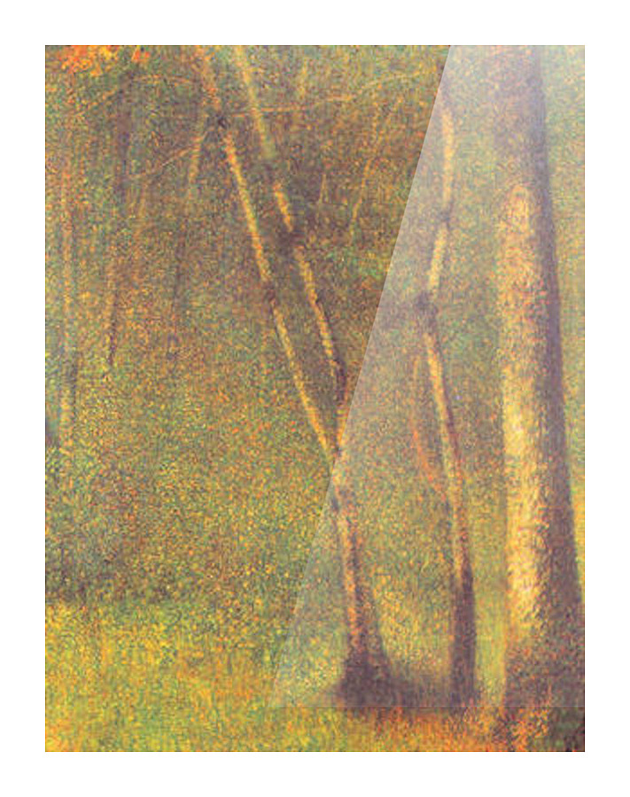 Forest in Pontaubert Picture Frame print