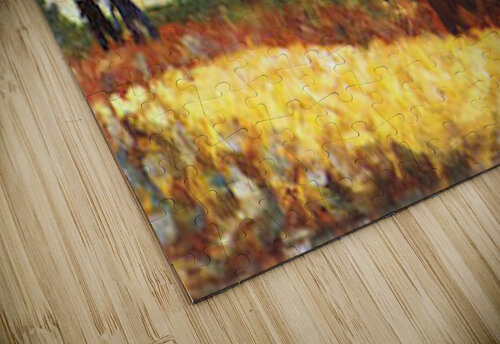 The field worker Seurat puzzle