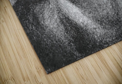 The Sleeper Seurat puzzle