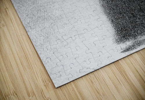 Woman Seurat puzzle