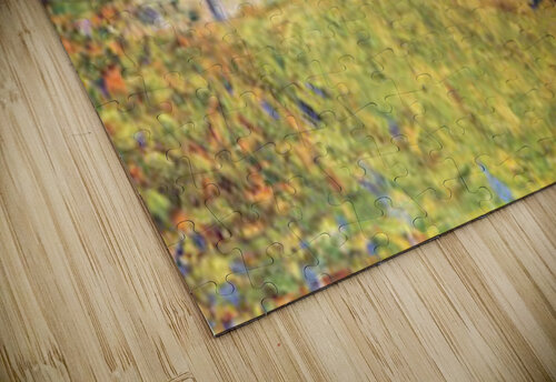 A house between trees Seurat puzzle