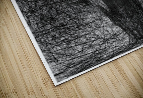 Artist Seurat puzzle