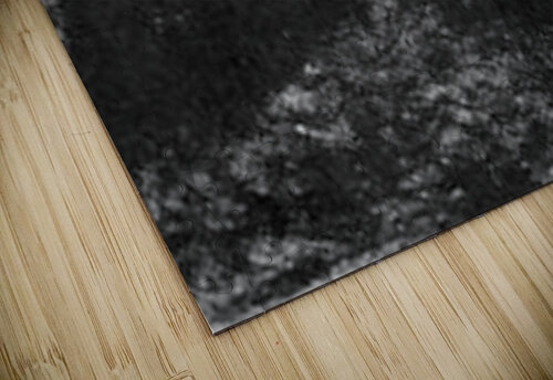 Condolences Seurat puzzle