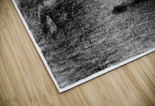 Laundry on the line Seurat puzzle