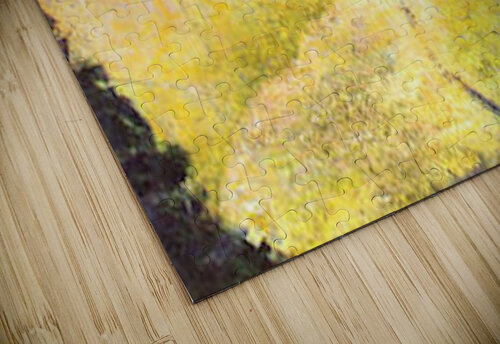 Path Seurat puzzle