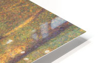 Forest in Pontaubert HD Metal print