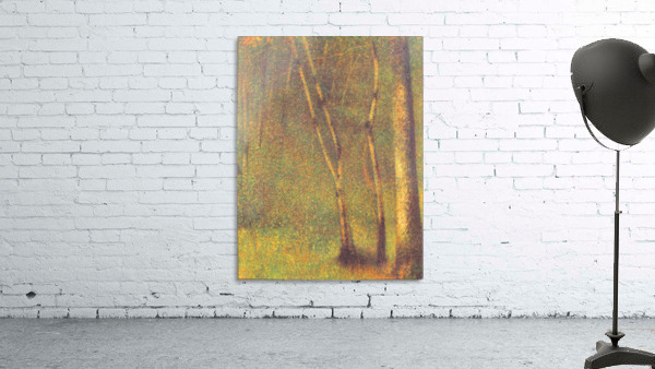 Forest in Pontaubert Wall Preview