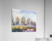 By meadow Acrylic Print