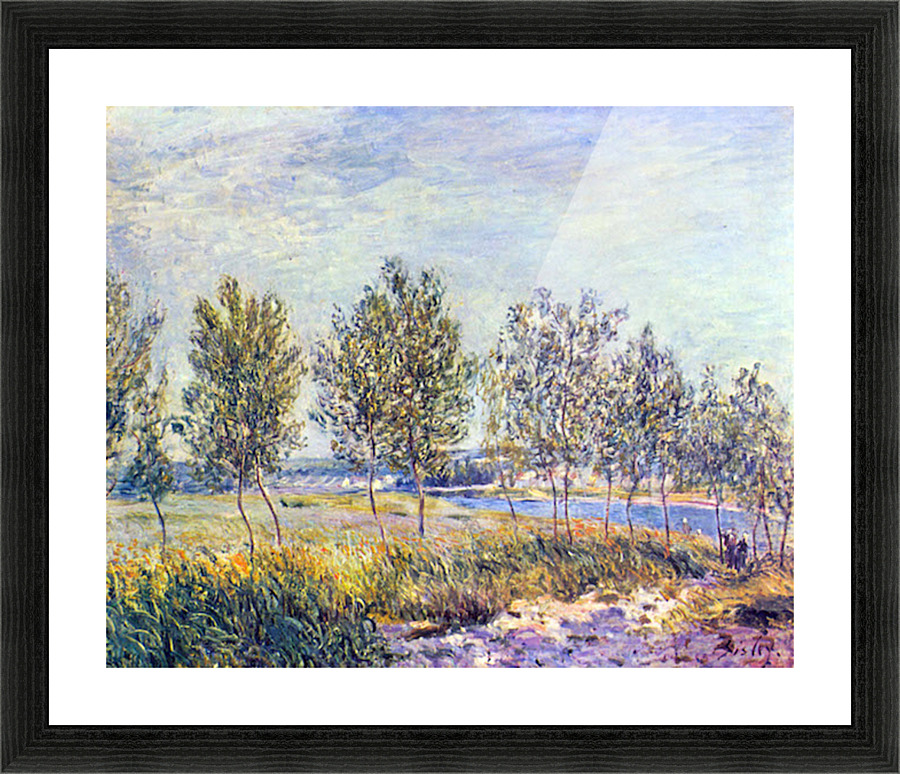 By meadow Picture Frame print