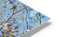 Orchard in spring HD Metal print