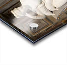 Rome Italy - Paolina Borghese Bonaparte as Venus Victrix by sc Acrylic print