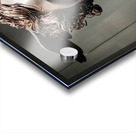 Head of Medusa by sculptor Antonio Canova 1799 bronze and cop Acrylic print