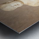 Morgante riding a tortoise marble statue by Valerio Cioli 1568 Metal print