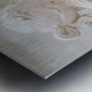 Possagno Italy - The Three Graces by Antonio Canova symbol of  Metal print